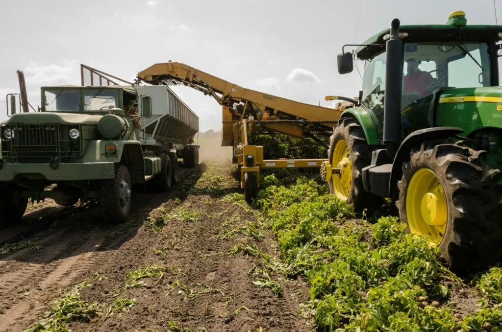 TRACTOR IN FARM